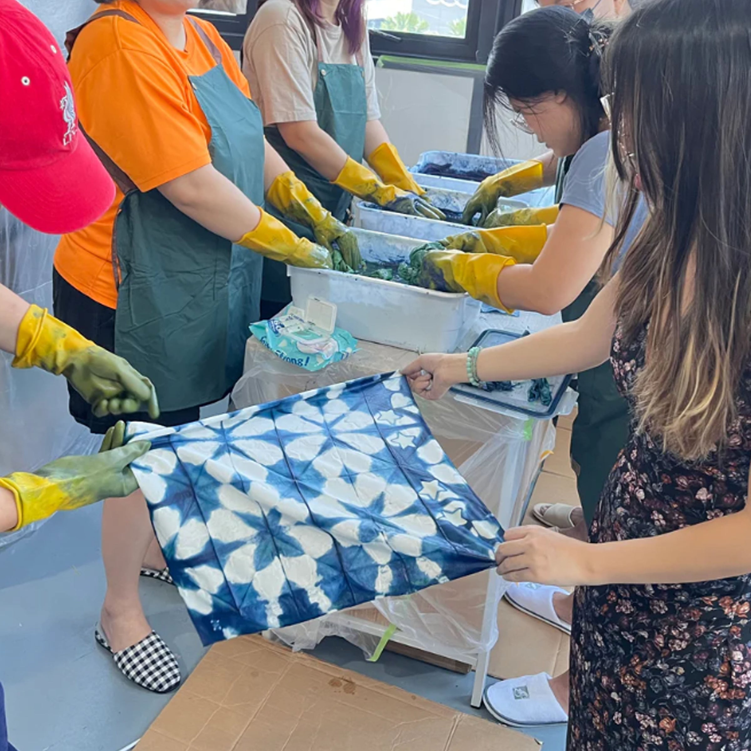 Workshop Program - Natural indigo tie dye tote bag & scarves