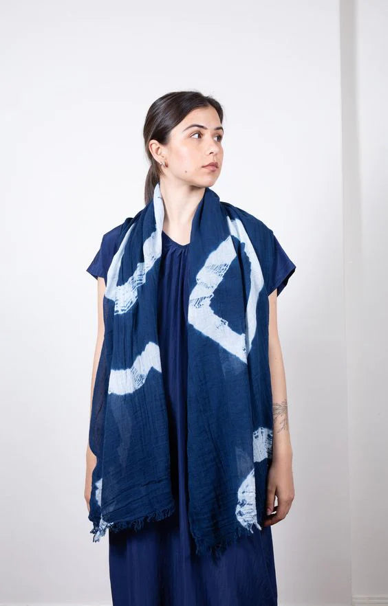 Workshop Program - Indigo natural dye T-shirt renovate