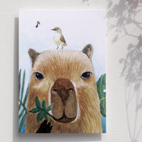 Postcards - "Mr. Dolphin" with his friends